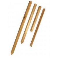 Setting Out Pointed Peg